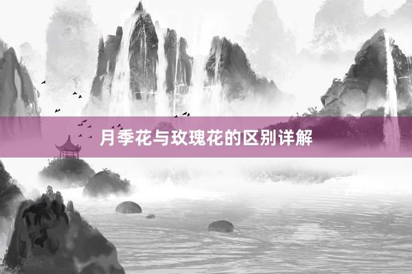 月季花与玫瑰花的区别详解