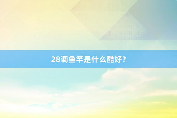 28调鱼竿是什么酷好？